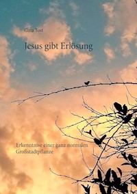 Jesus gibt  Erlösung - Gitta Tost - ebook