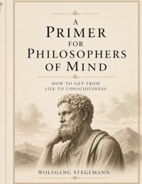 A Primer for Philosophers of Mind - Wolfgang Stegemann - ebook