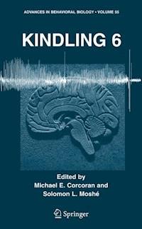 Kindling 6 -  - ebook