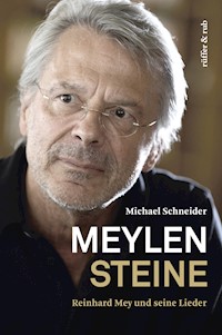 Meylensteine - Michael  Schneider - ebook