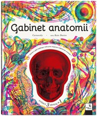 Gabinet owadów (i innych małych stworzeń) - Barbara Taylor - książka