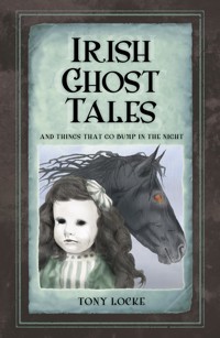 Irish Ghost Tales - Tony Locke - ebook