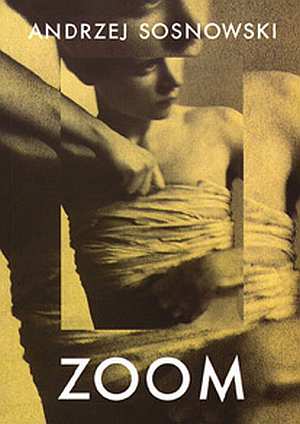 Zoom - Andrzej Sosnowski - ebook