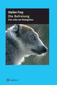 Die Befreiung - Stefan Frey - ebook