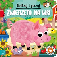 Dotknij i poczuj Zwierzęta na wsi Książeczka sensoryczna - Wasilewicz Grażyna - książka