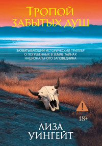 Тропой забытых душ - Лиза Уингейт - ebook
