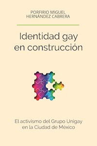 Identidad gay en construcción - Porfirio Miguel Hernández Cabrera - ebook