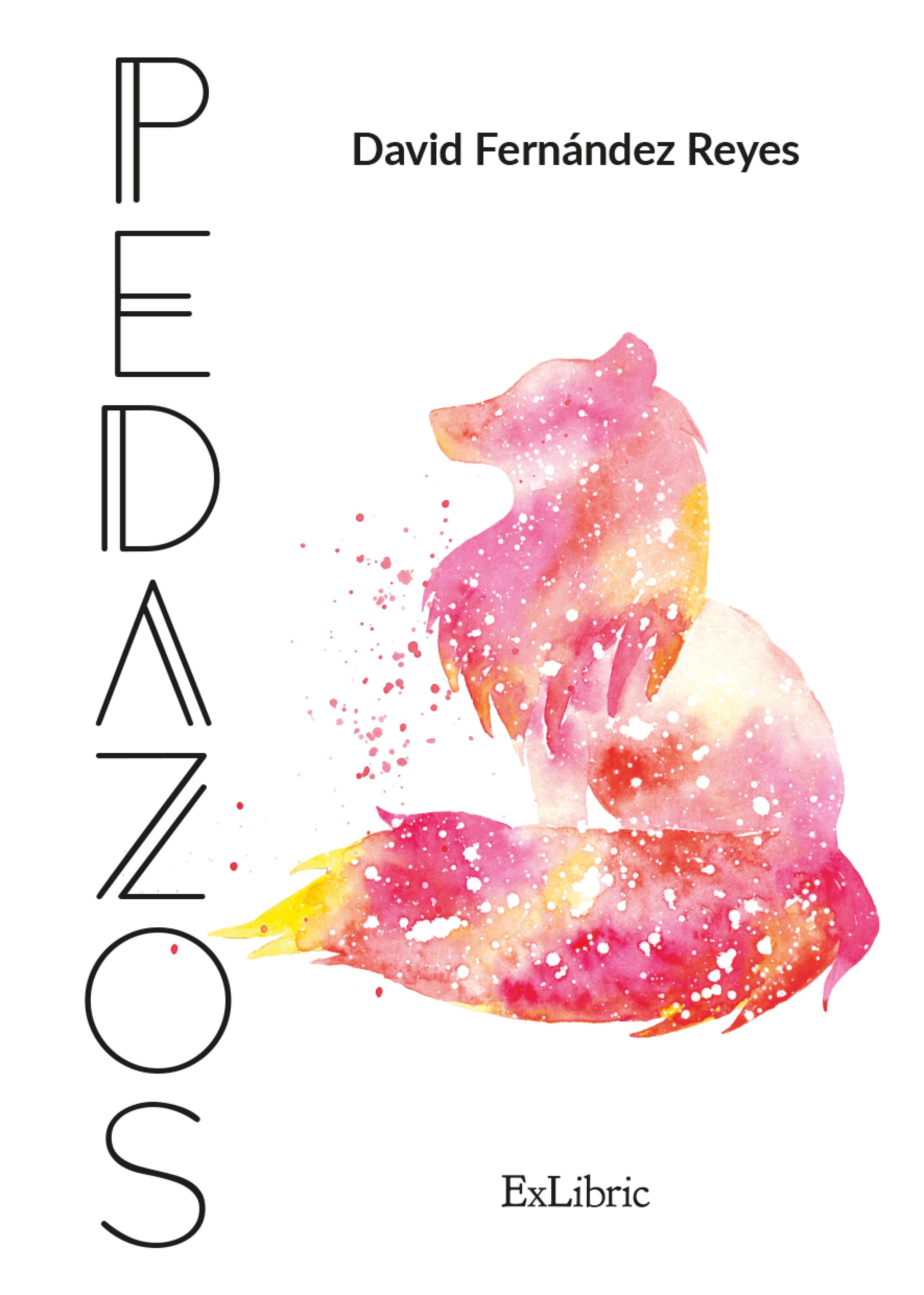 Pedazos