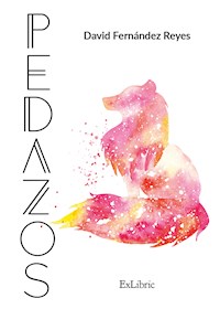 Pedazos - David Fernández Reyes - ebook