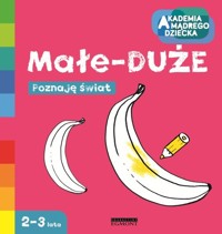 Małe - DUŻE Akademia mądrego dziecka - Boboryk Anna - książka