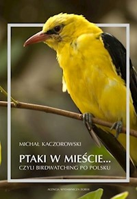 Ptaki w mieście czyli birdwatching po polsku - Kaczorowski Michał - książka