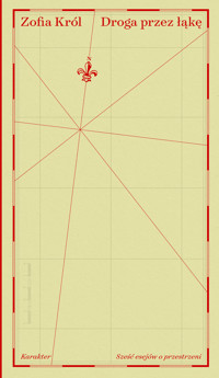 Droga przez łąkę. Sześć esejów o przestrzeni - Król Zofia - ebook