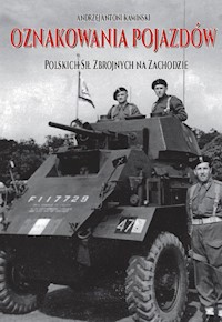 Oznakowania pojazdów - Kamiński Andrzej Antoni - książka