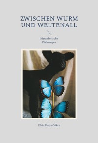 Zwischen Wurm und Weltenall - Elvin Karda Gökce - ebook