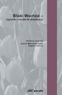 Bliski Wschód - czynniki i skutki destabilizacji -  - książka
