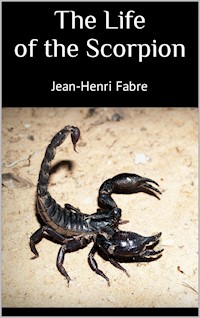 The Life of the Scorpion - Fabre Jean-Henri - ebook