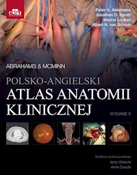 Polsko-angielski atlas anatomii klinicznej. Mcminn & Abrahams - Abrahams P.H., Spratt J.D. ,  Loukas M., Van Schoor A.N. - książka