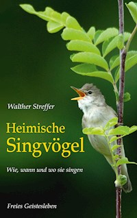 Heimische Singvögel - Walther Streffer - ebook