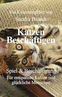 Katzen Beschäftigen - Sandra Brandt - ebook