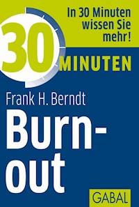 30 Minuten Burn-out - Frank H. Berndt - ebook