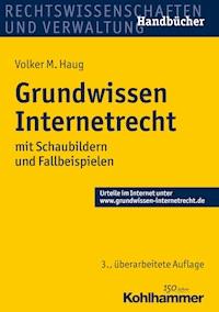 Grundwissen Internetrecht - Volker M. Haug - ebook
