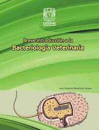 Breve introducción a la bacteriología veterinaria - Juan Antonio Montaraz Crespo - ebook
