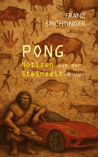 Pong. Notizen aus der Steinzeit - Franz Spichtinger - ebook