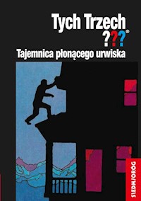 Tajemnica płonącego urwiska - Andy Chandler - książka