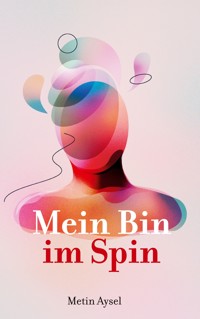 Mein Bin im Spin - Metin Aysel - ebook