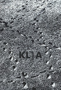 Klub Auschwitz i inne kluby - Agnieszka Dauksza - książka