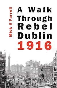A Walk Through Rebel Dublin 1916 - Mick O'Farrell - ebook