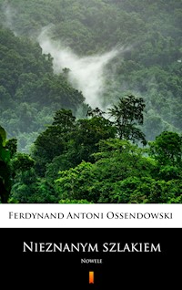 Nieznanym szlakiem. Nowele - Ferdynand Antoni Ossendowski - ebook