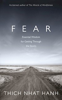 Fear - Hanh Thich Nhat - książka