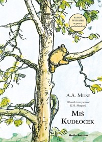 Miś Kudłocek (Kubuś Puchatek po góralsku) - Alan Alexander Milne - książka