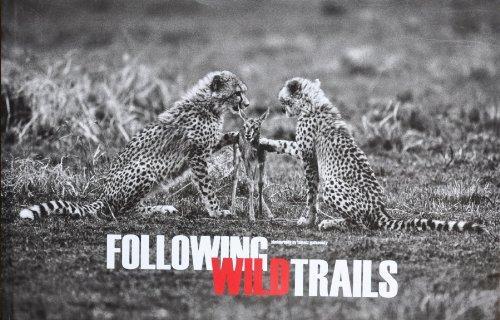 Following Wild Trails Tomasz Gudzowaty - Tomasz Gudzowaty - książka