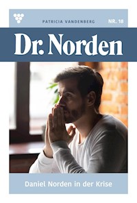 Daniel Norden in der Krise - Vandenberg Patricia - ebook