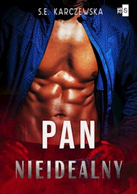Pan nieidealny - Karczewska S.E. - ebook + audiobook + książka