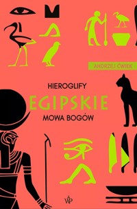 Hieroglify egipskie - Ćwiek Andrzej - ebook + książka