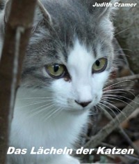 Das Lächeln der Katzen - Judith Cramer - ebook