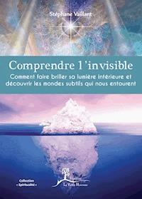 Comprendre l'invisible - Stéphane Vaillant - ebook