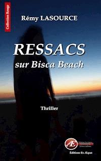 Les chroniques policières de Biscarrosse - Tome 1 - Rémy Lasource - ebook