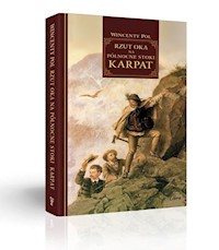 Rzut oka na północne stoki Karpat - Pol Wincenty - książka
