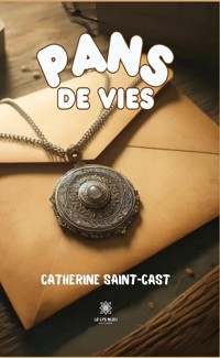 Pans de vies - Catherine Saint-Cast - ebook