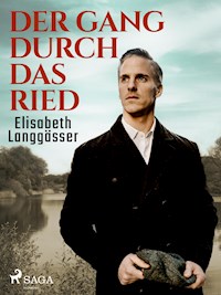 Der Gang durch das Ried - Elisabeth Langgässer - ebook