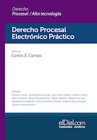 Derecho Procesal Electrónico Práctico - Carlos E. Camps - ebook