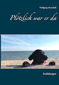 Plötzlich war er da - Wolfgang Marschall - ebook