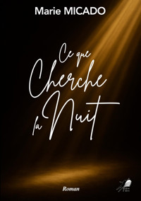 Ce que Cherche la Nuit - Marie MICADO - ebook