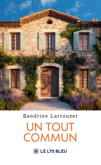 Un tout commun - Sandrine Larrouzet - ebook