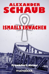 Ismaels Erwachen - Alexander Schaub - ebook