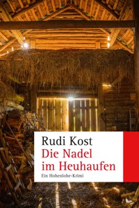 Die Nadel im Heuhaufen - Rudi Kost - ebook